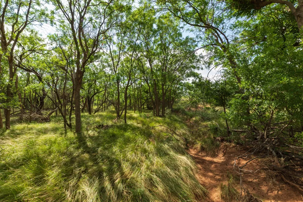 1 CR 441 Sweetwater, TX 79556