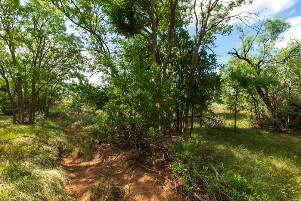 1 CR 441 Sweetwater, TX 79556