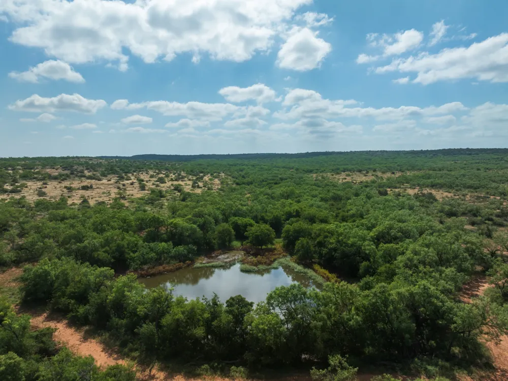 1 CR 441 Sweetwater, TX 79556