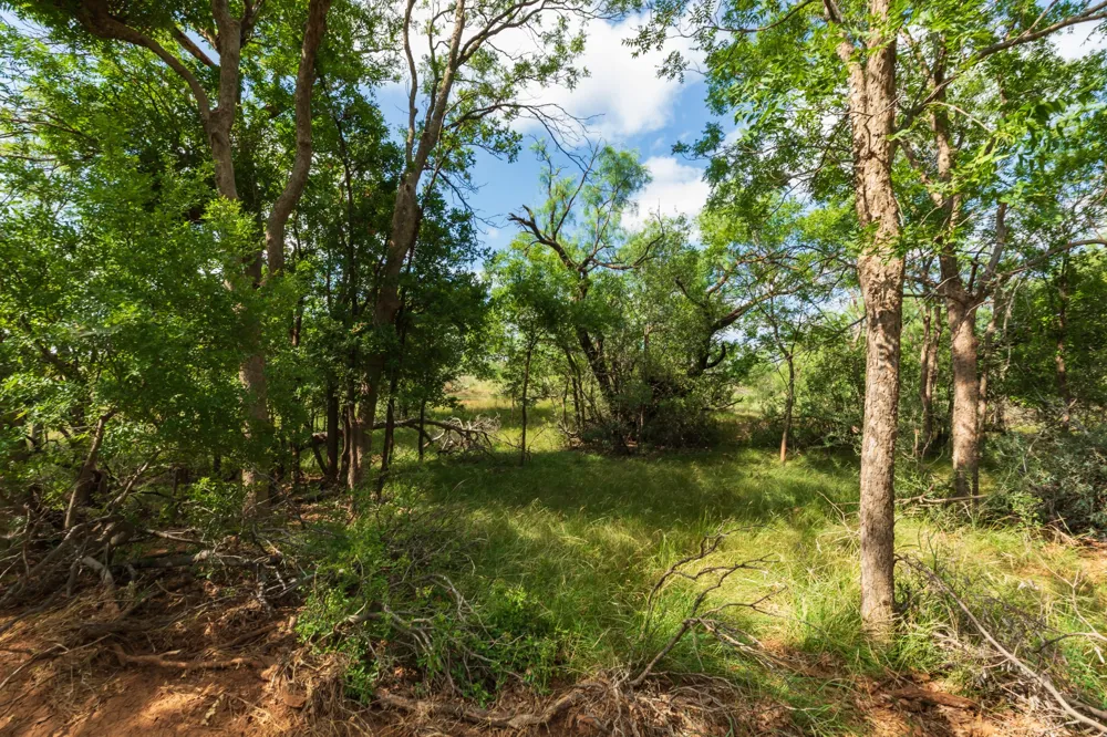 1 CR 441 Sweetwater, TX 79556
