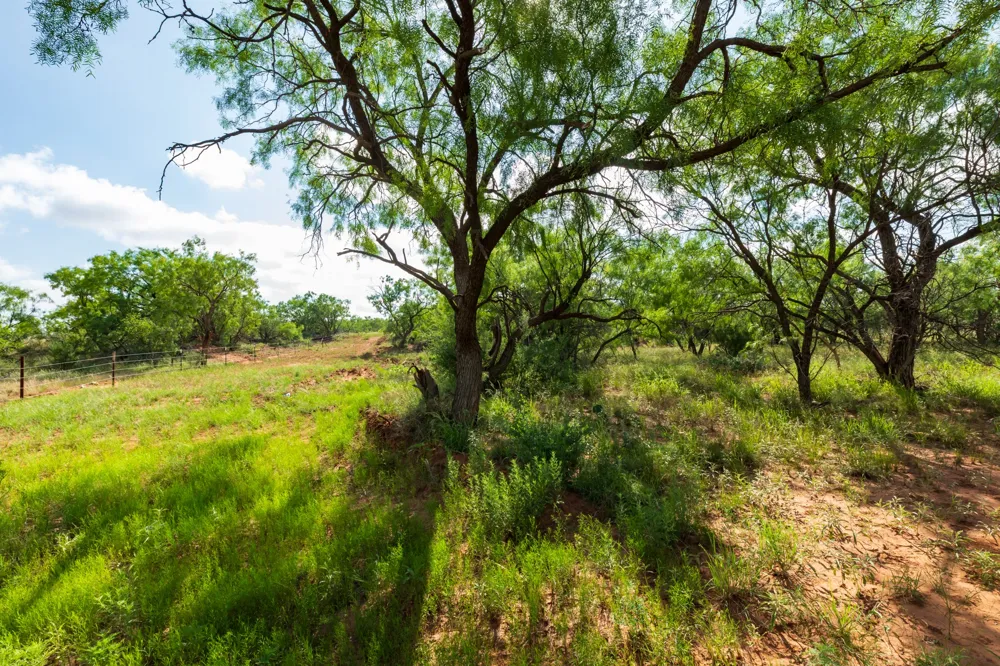 1 CR 441 Sweetwater, TX 79556