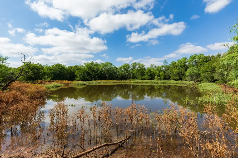 1 CR 441 Sweetwater, TX 79556