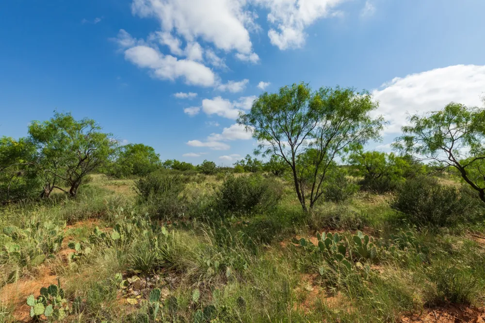 1 CR 441 Sweetwater, TX 79556