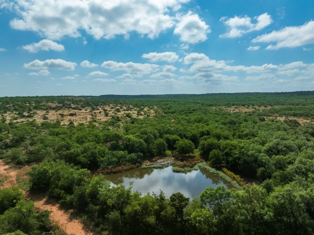 1 CR 441 Sweetwater, TX 79556