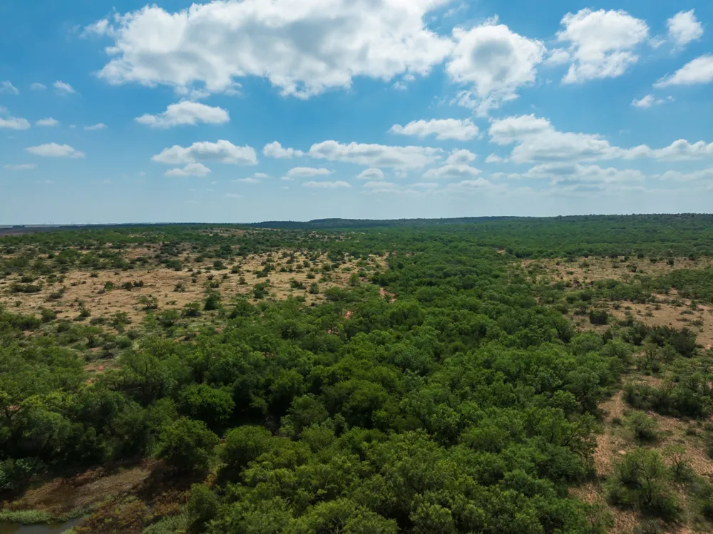 1 CR 441 Sweetwater, TX 79556
