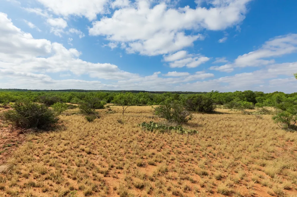1 CR 441 Sweetwater, TX 79556