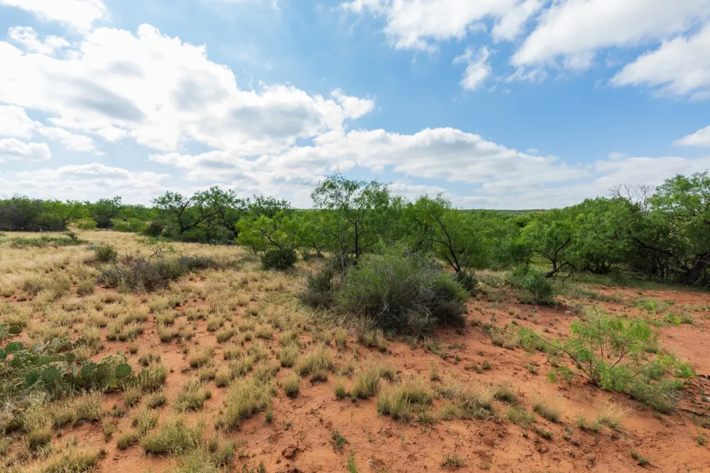 1 CR 441 Sweetwater, TX 79556