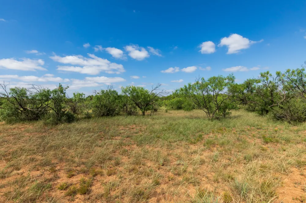 1 CR 441 Sweetwater, TX 79556