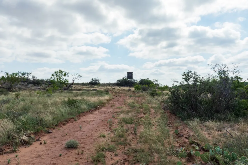 1 CR 441 Sweetwater, TX 79556