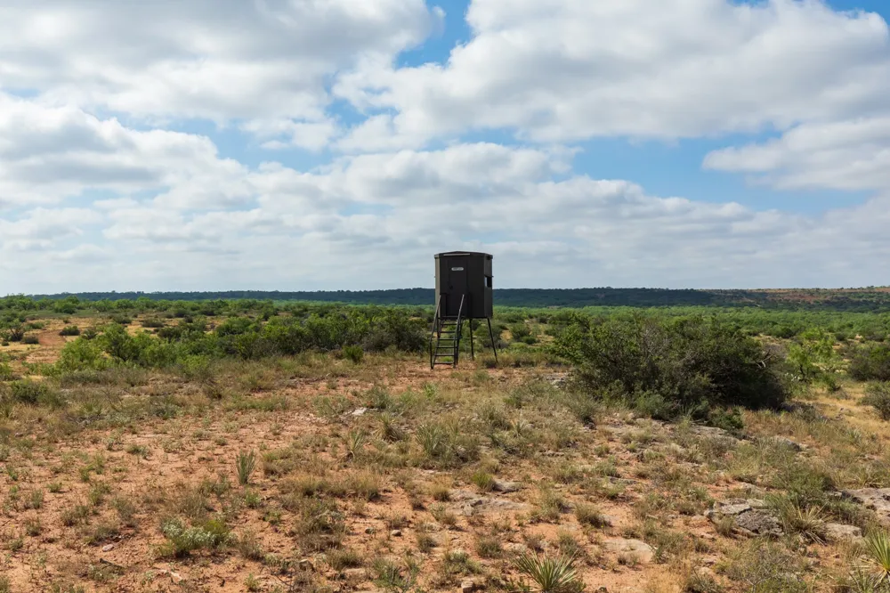 1 CR 441 Sweetwater, TX 79556