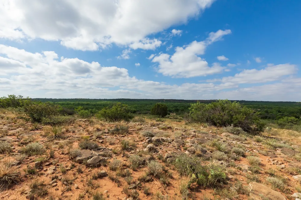 1 CR 441 Sweetwater, TX 79556