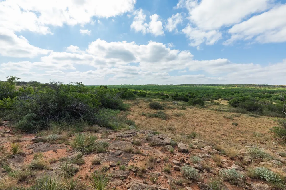 1 CR 441 Sweetwater, TX 79556