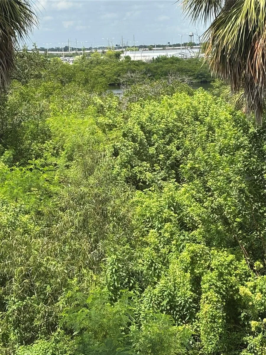 551 VINCINDA CREST WAY Tampa, FL 33619