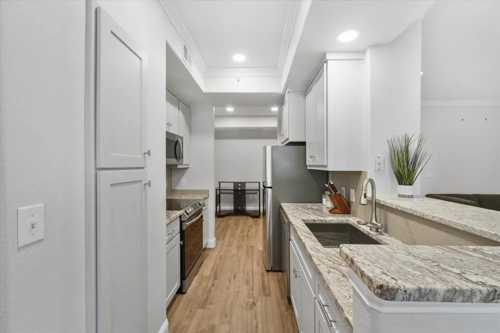 330 Las Colinas Boulevard E #168 Irving, TX 75039