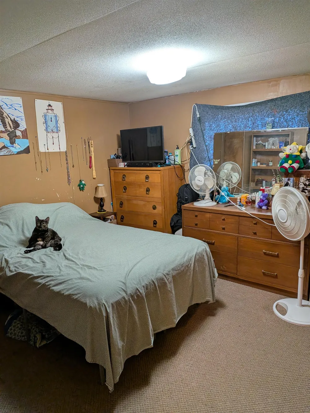 3033 S Coldwater Road Broomfield Township, MI 48858