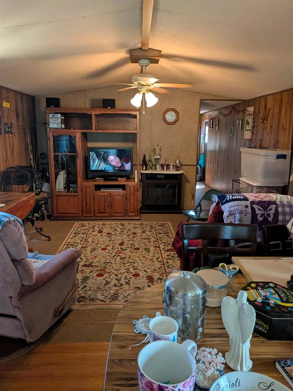 3033 S Coldwater Road Broomfield Township, MI 48858