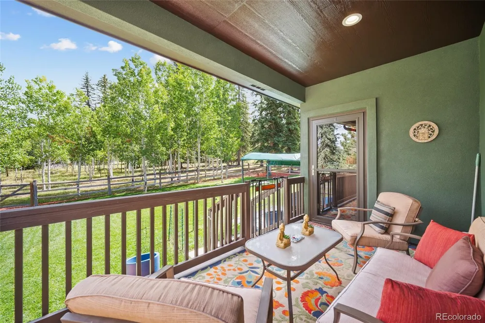1113 Ptarmigan Drive Woodland Park, CO 80863