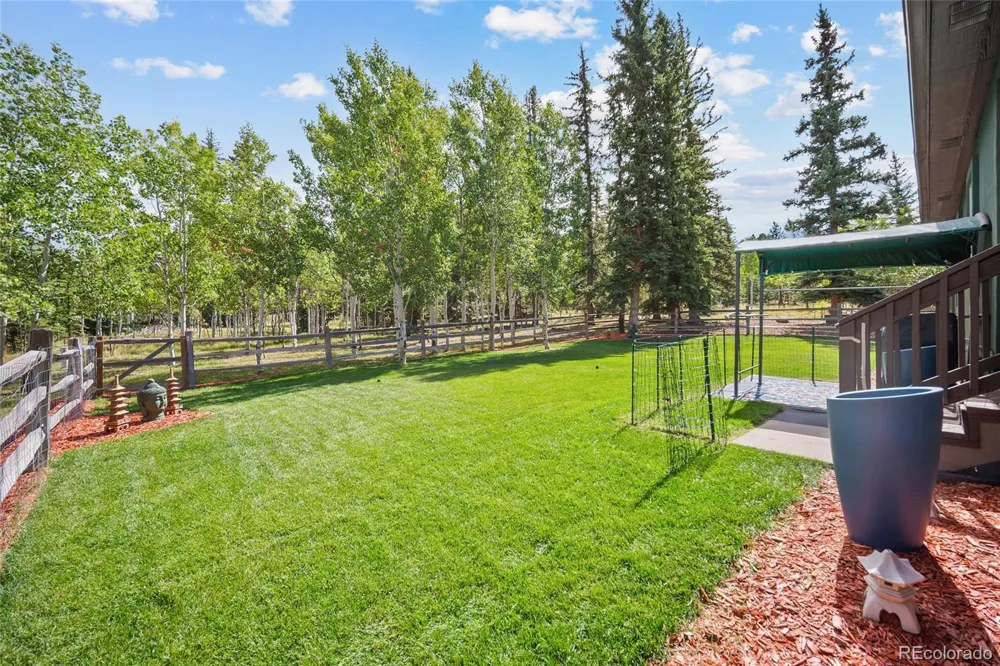 1113 Ptarmigan Drive Woodland Park, CO 80863