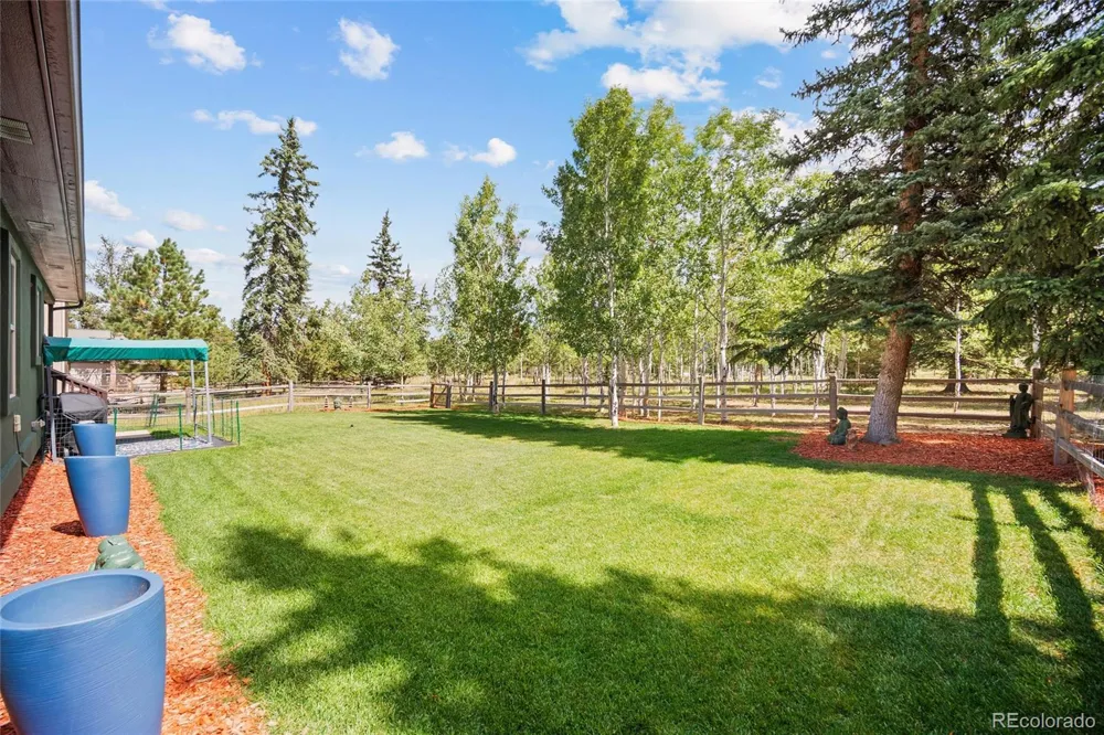 1113 Ptarmigan Drive Woodland Park, CO 80863