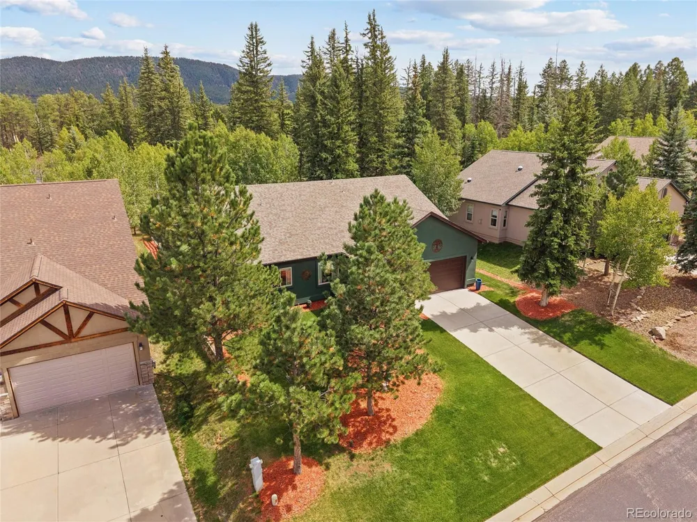1113 Ptarmigan Drive Woodland Park, CO 80863