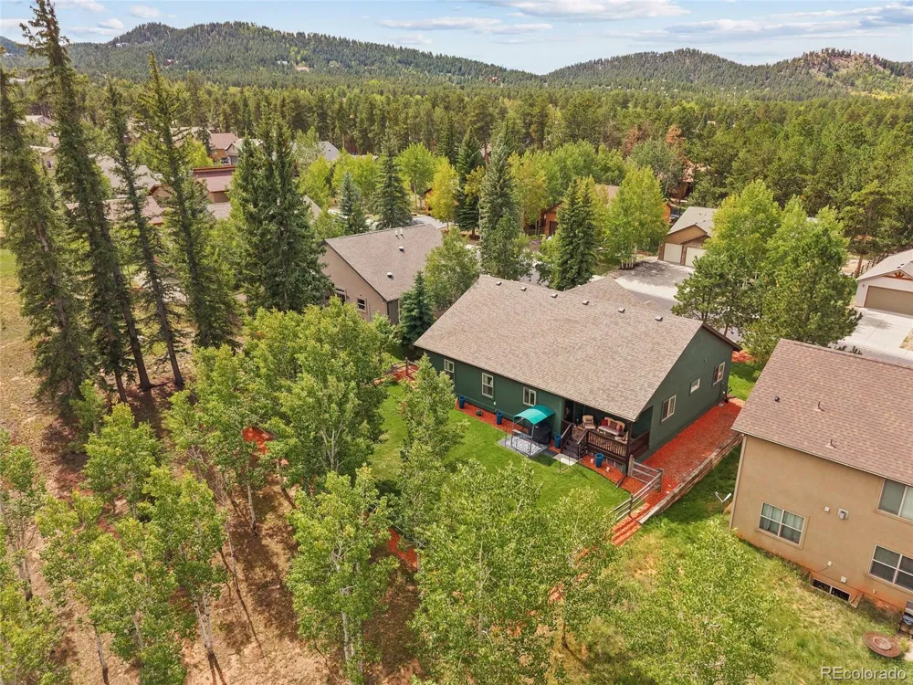 1113 Ptarmigan Drive Woodland Park, CO 80863