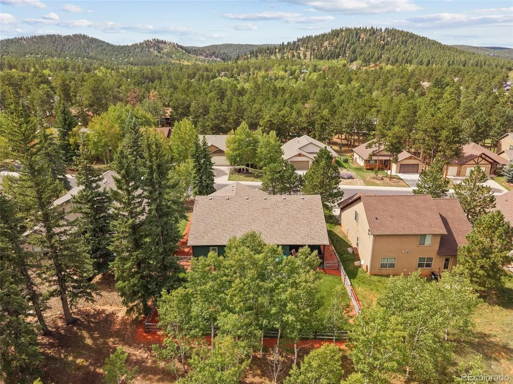 1113 Ptarmigan Drive Woodland Park, CO 80863