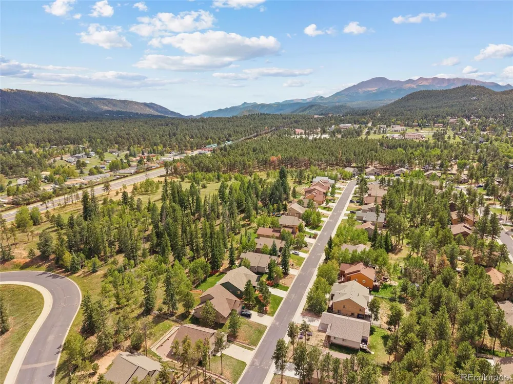 1113 Ptarmigan Drive Woodland Park, CO 80863