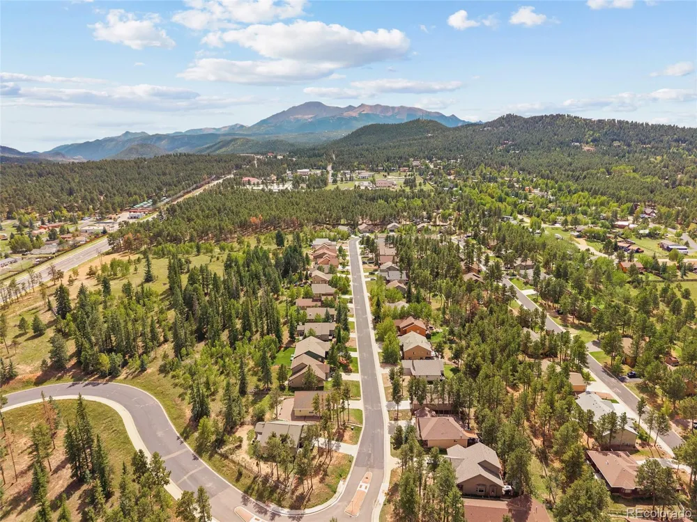 1113 Ptarmigan Drive Woodland Park, CO 80863
