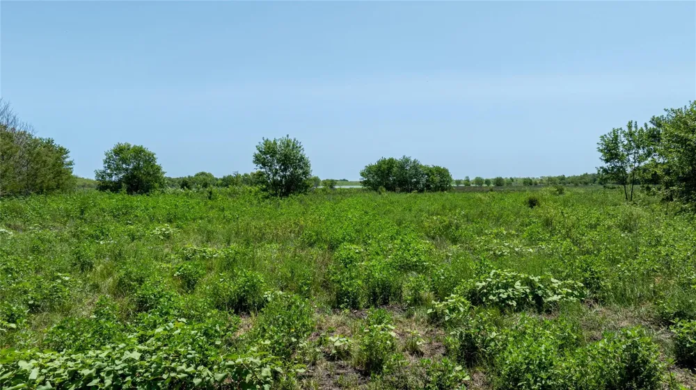 Barker Ln Rice, TX 75155