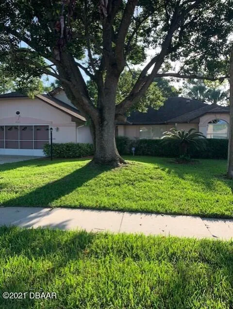 4585 Alder Drive