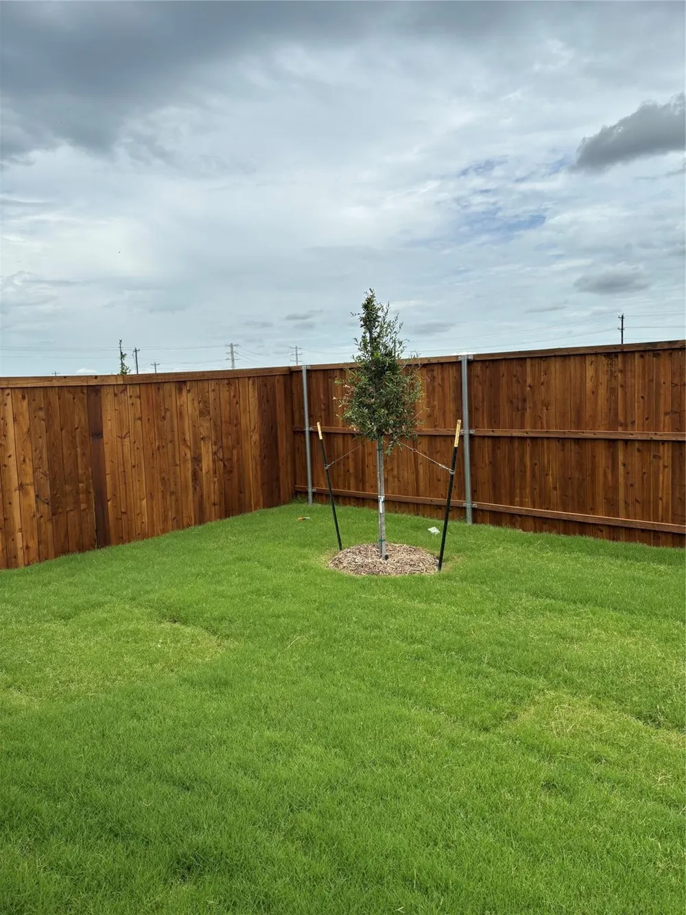 7615 Madrid Manor Richmond, TX 77469