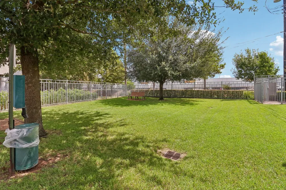 3115 Leeland Street Houston, TX 77003