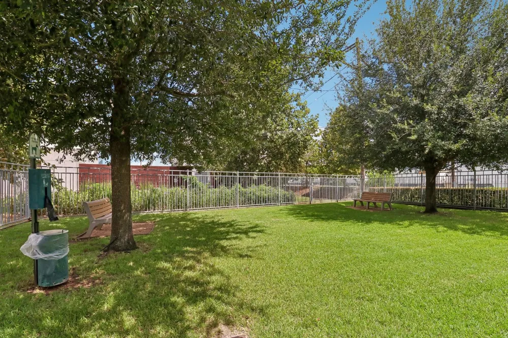 3115 Leeland Street Houston, TX 77003