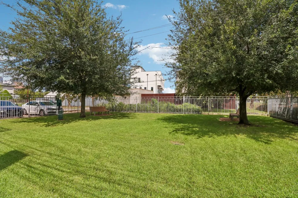 3115 Leeland Street Houston, TX 77003