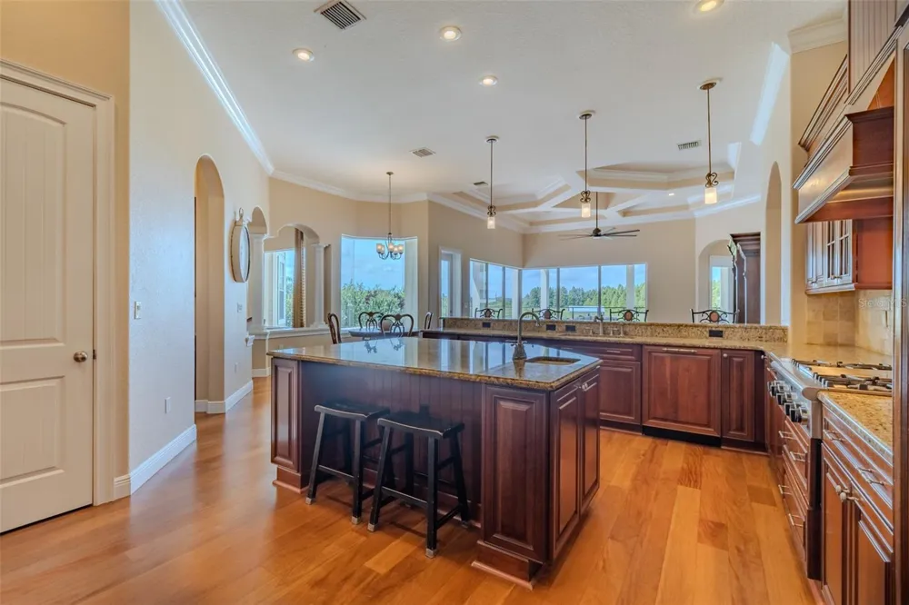 10501 BROADLAND PASS Thonotosassa, FL 33592