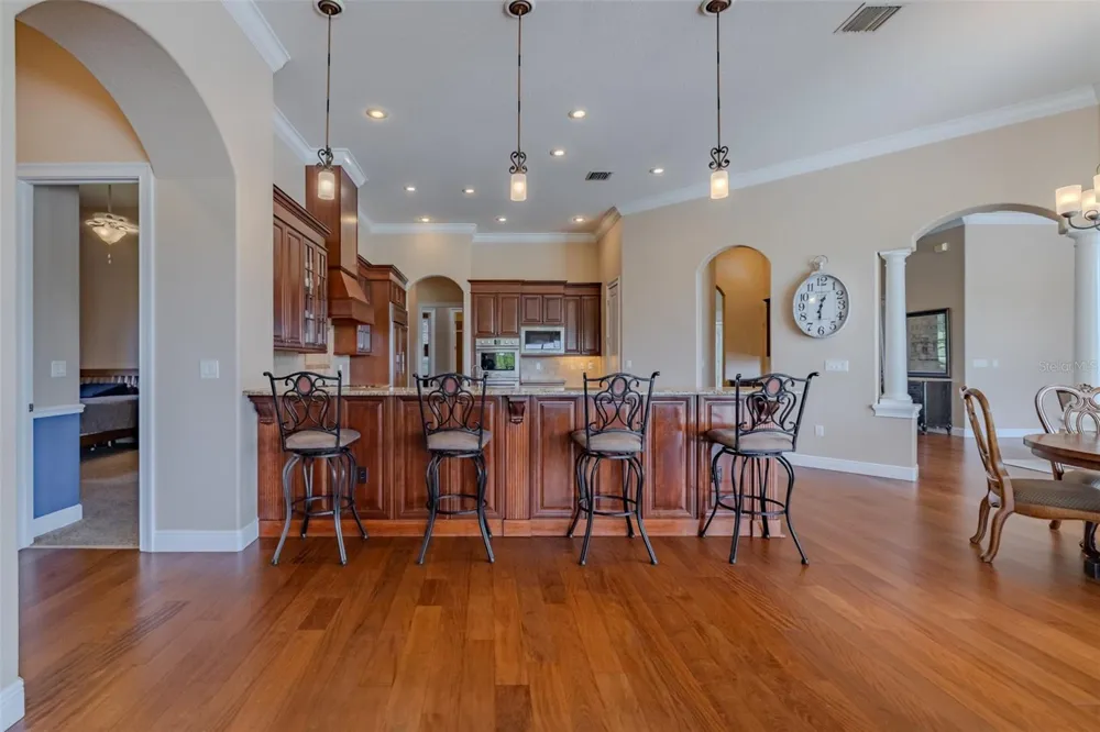10501 BROADLAND PASS Thonotosassa, FL 33592