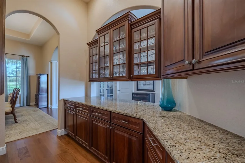 10501 BROADLAND PASS Thonotosassa, FL 33592
