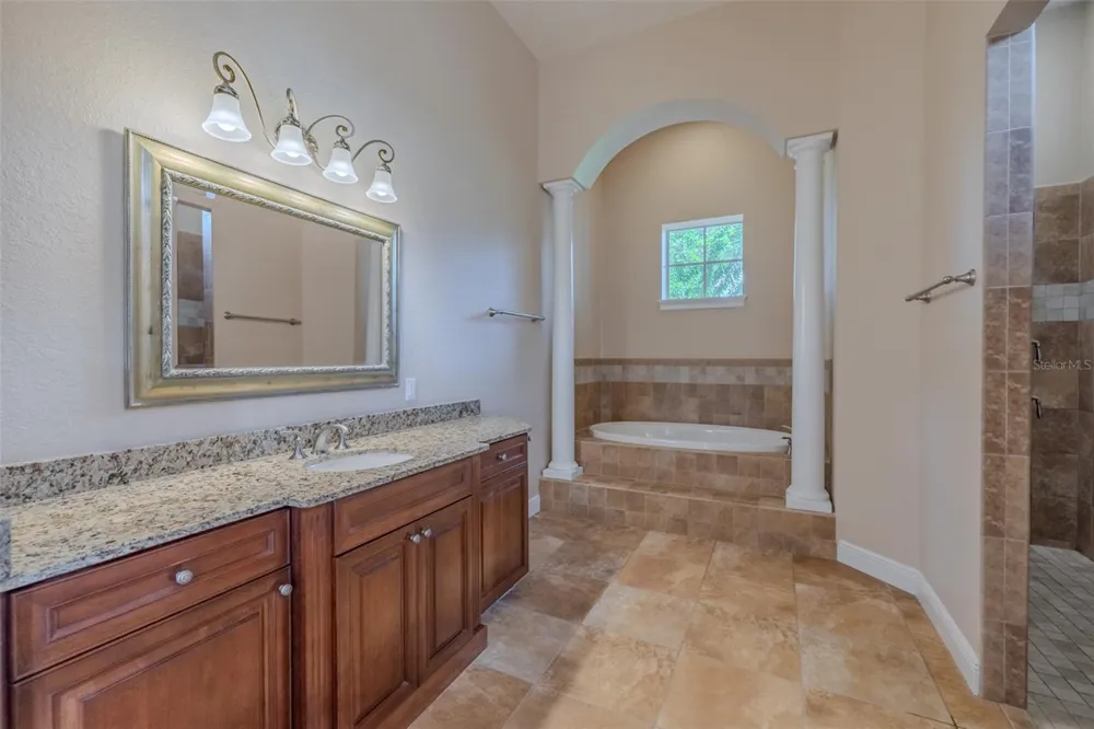 10501 BROADLAND PASS Thonotosassa, FL 33592