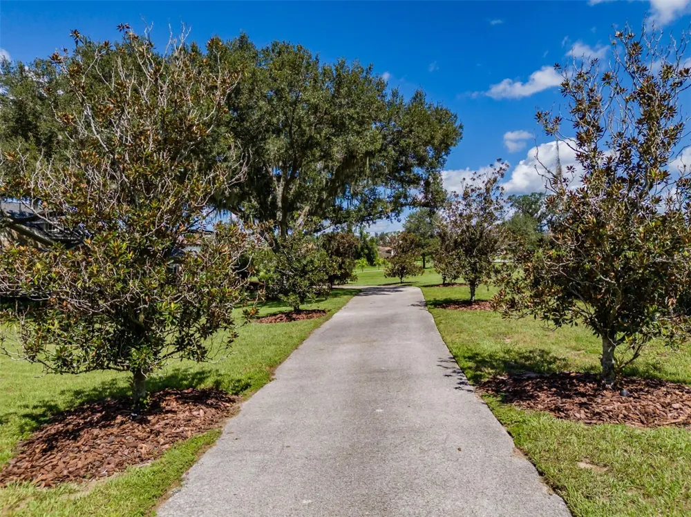 10501 BROADLAND PASS Thonotosassa, FL 33592
