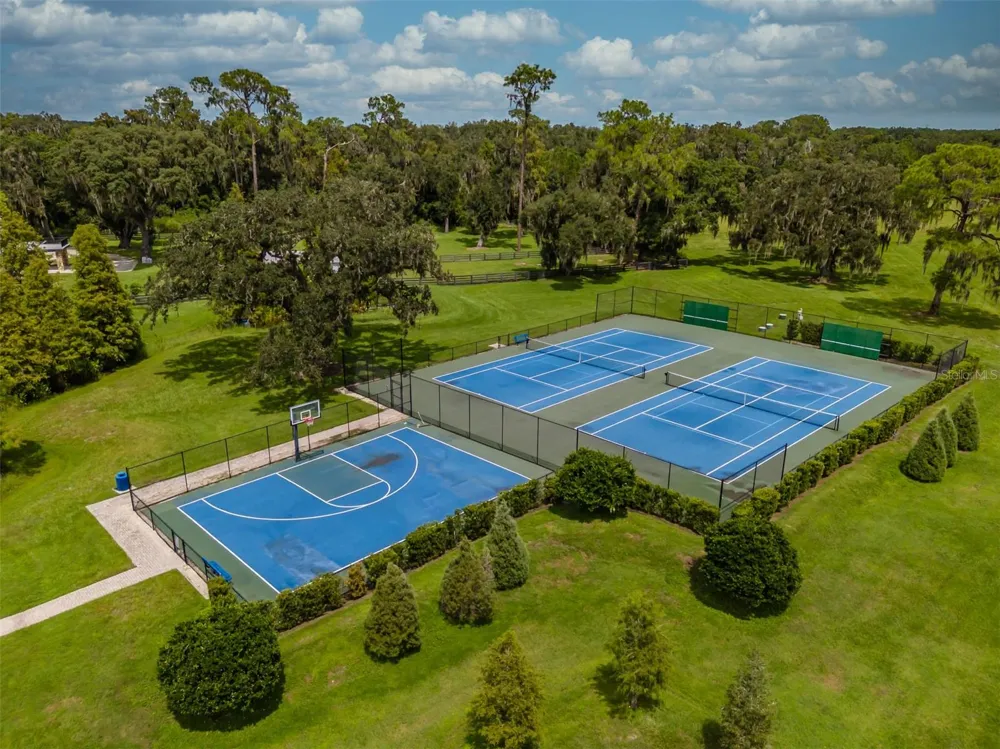 10501 BROADLAND PASS Thonotosassa, FL 33592
