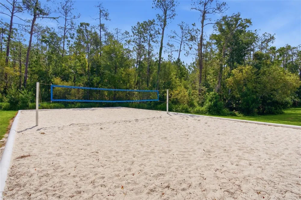 2306 SPRING HOLLOW LOOP Wesley Chapel, FL 33544