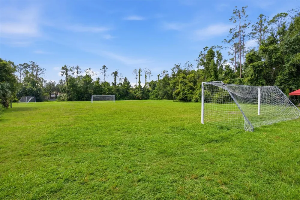 2306 SPRING HOLLOW LOOP Wesley Chapel, FL 33544
