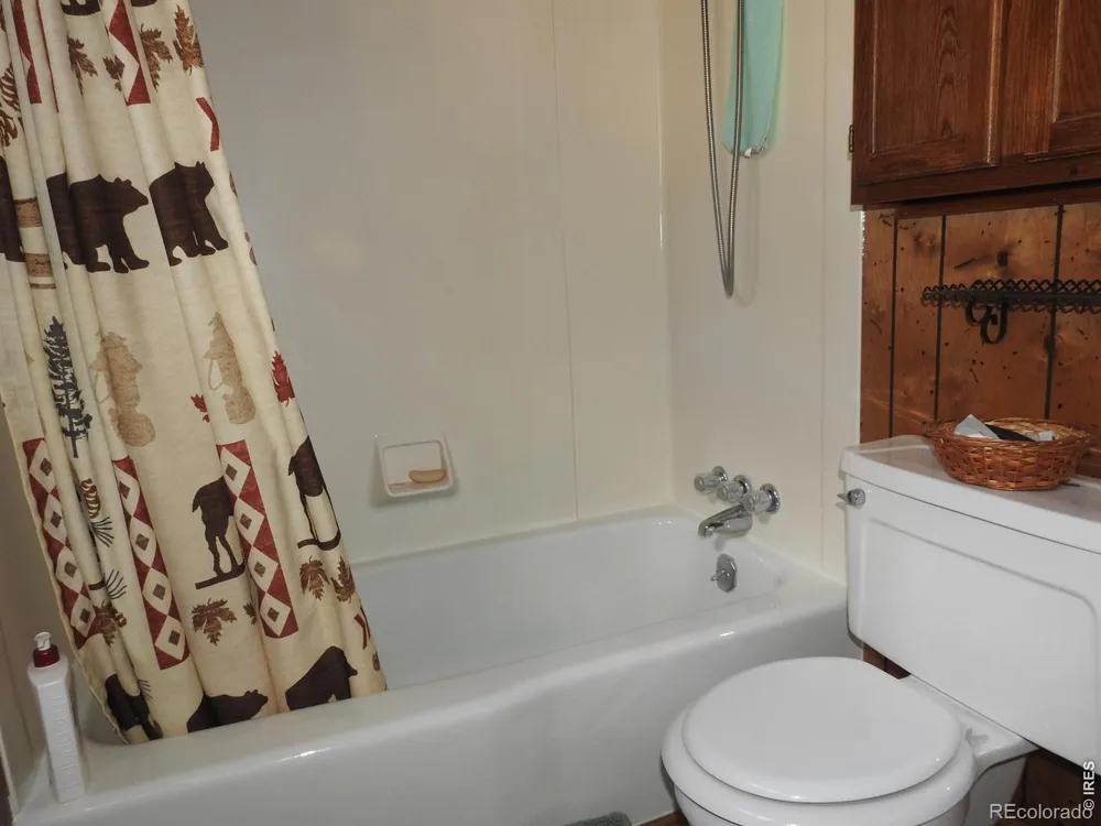 240 Olympus Lane W Estes Park, CO 80517