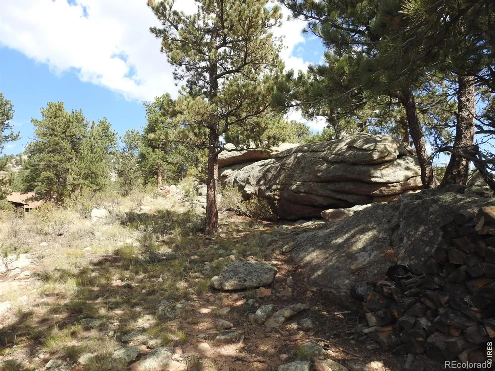 240 Olympus Lane W Estes Park, CO 80517