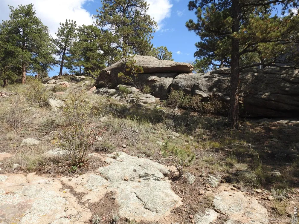 240 Olympus Lane W Estes Park, CO 80517