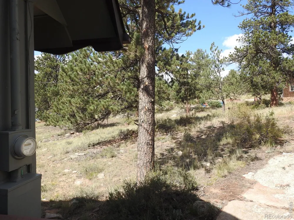 240 Olympus Lane W Estes Park, CO 80517