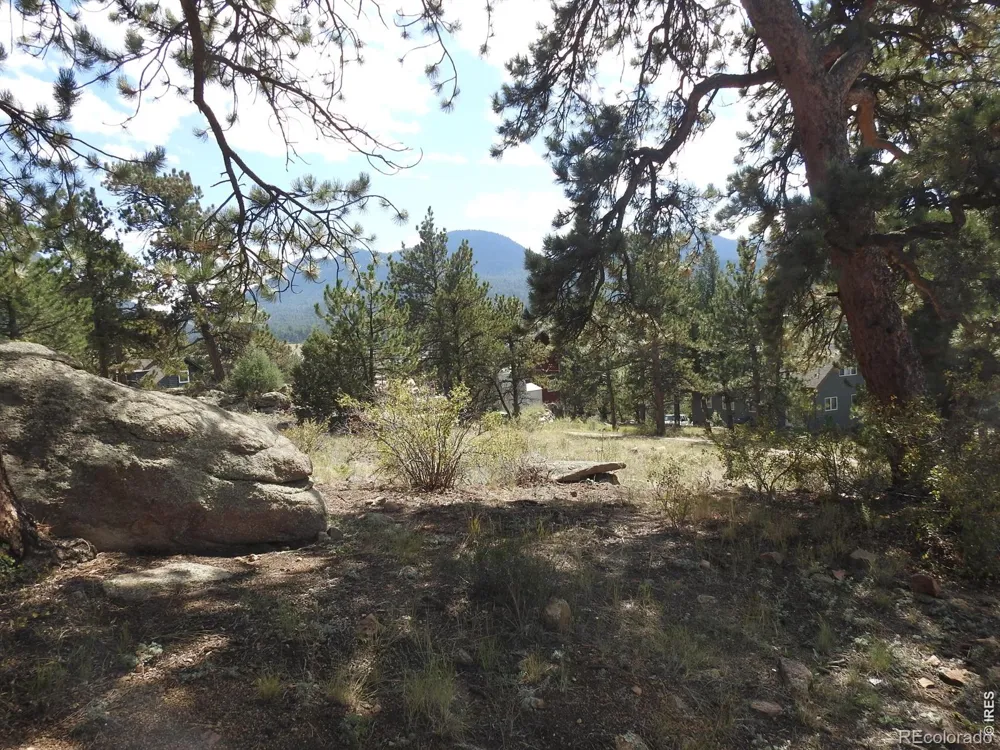 240 Olympus Lane W Estes Park, CO 80517