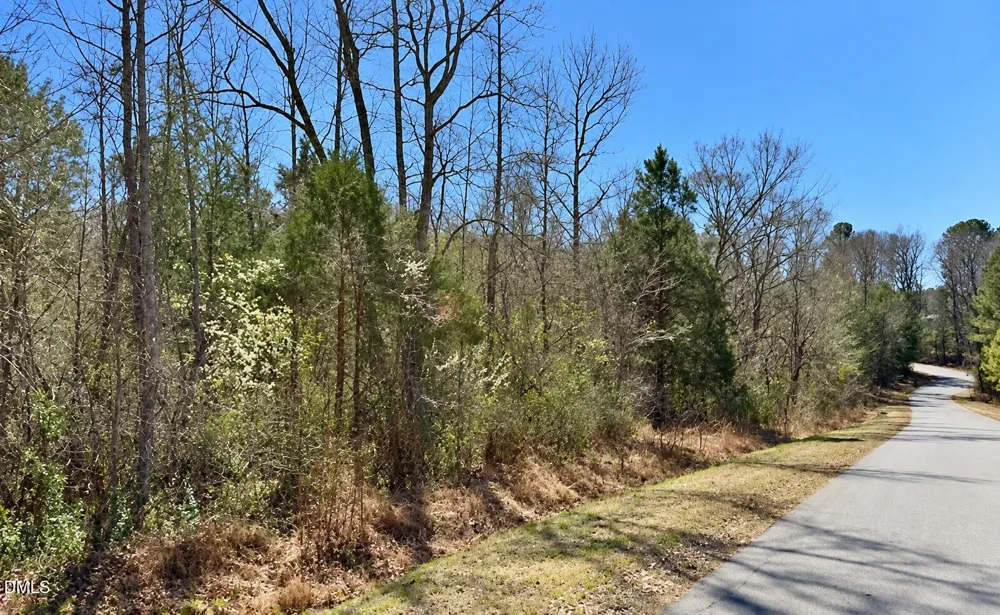 132 Bill Thomas Road Moncure, NC 27559