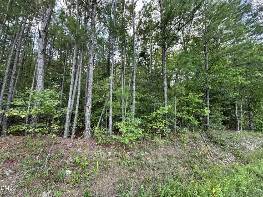 0 New Elam Church Road Moncure, NC 27559