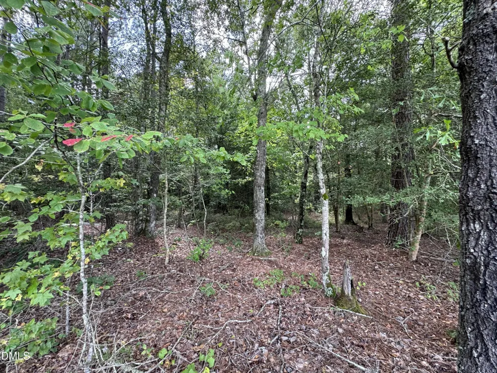 0 New Elam Church Road Moncure, NC 27559
